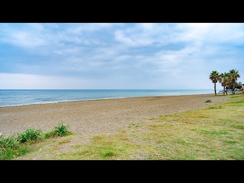 Webcam rincón de la victoria playa