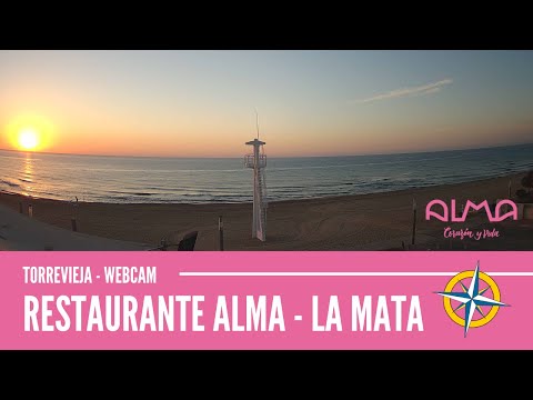 Webcam playa paraiso